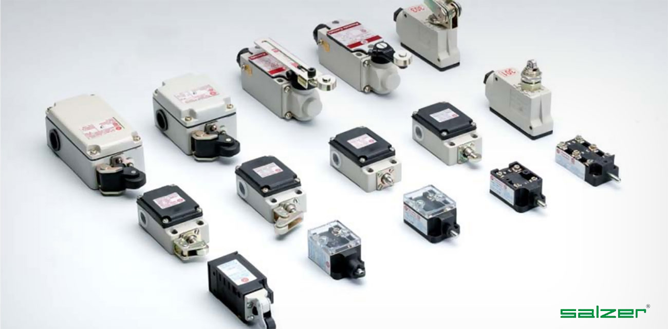 Salzer Limit Switch in India